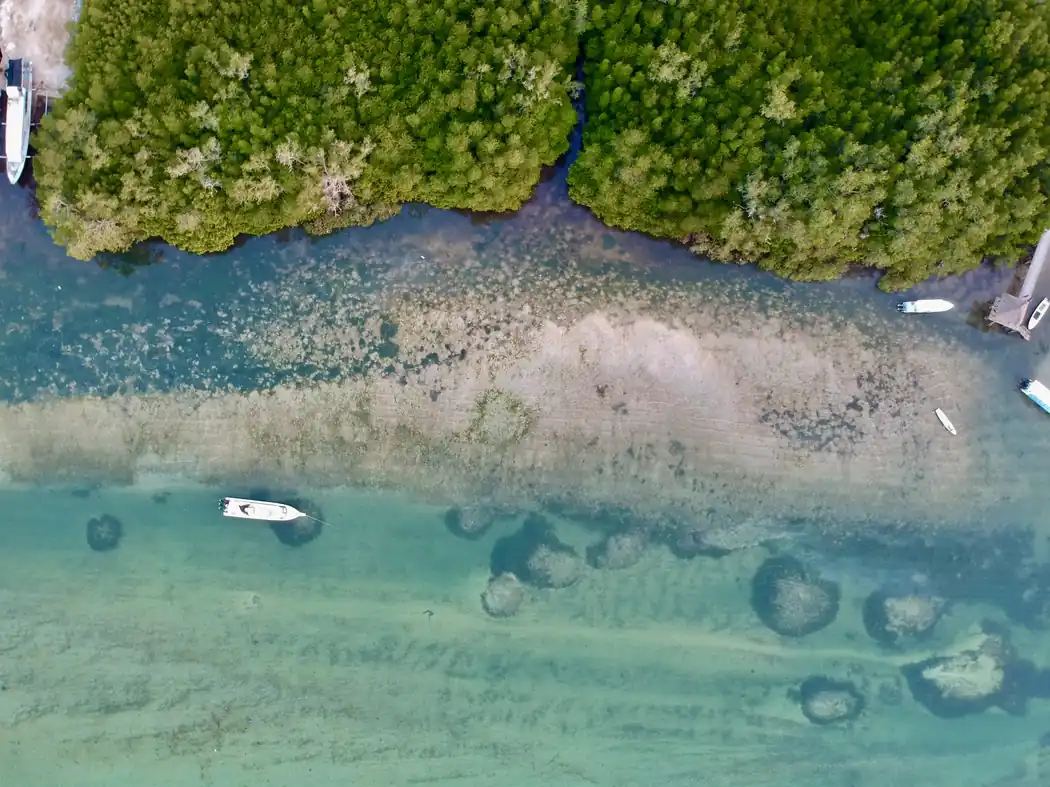 Mangroven, Boote und türkisfarbener Gezeitenkanal von oben